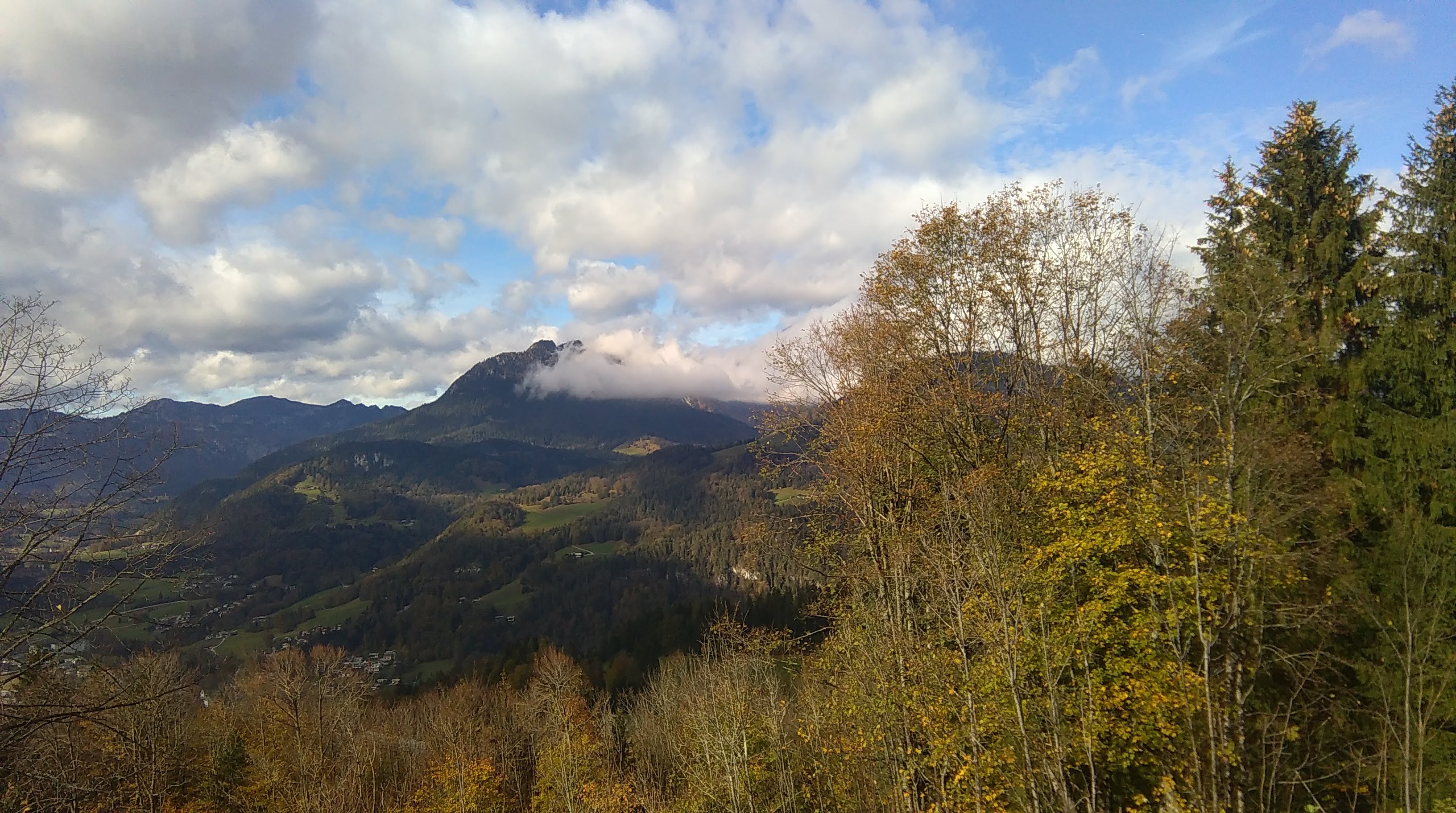 a mountain range covered in trees