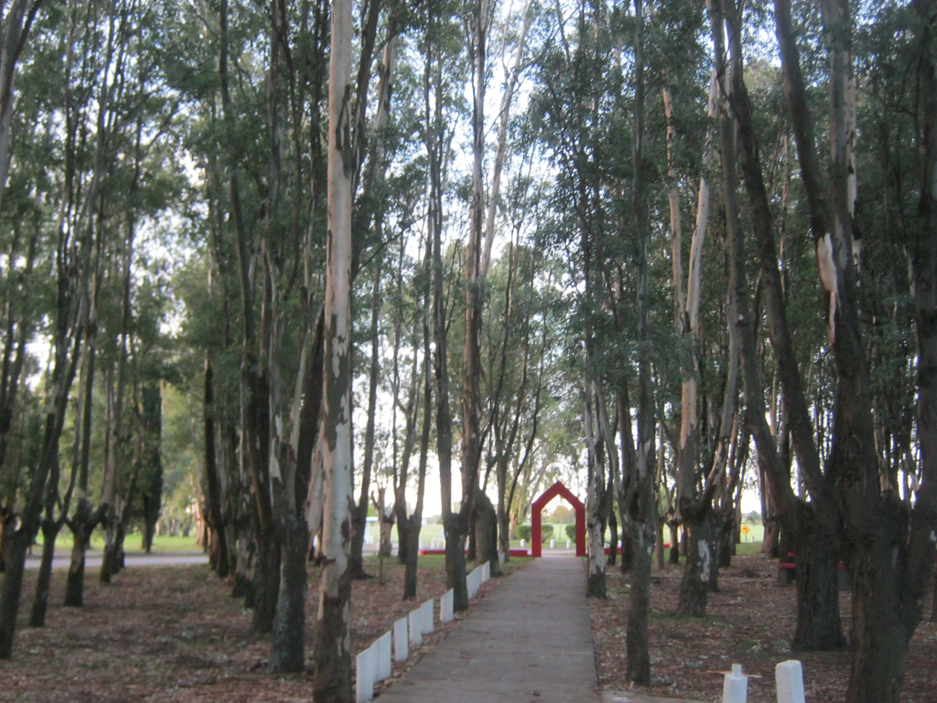 A symmetrical forest with a red arch